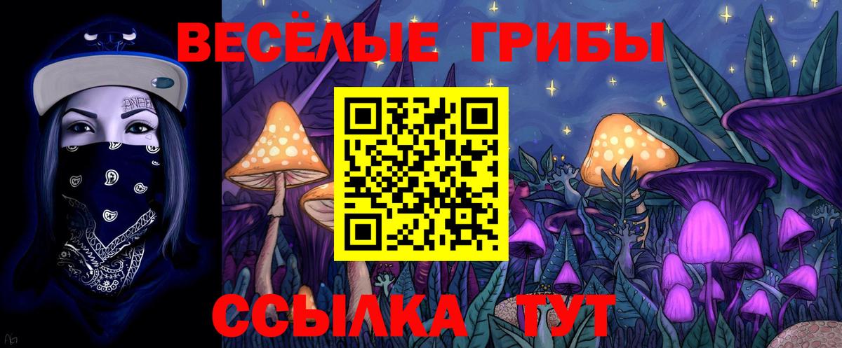 Псилоцибиновые грибы GOLDEN TEACHER  магазин  наркотиков  Богородицк  Вход с VPN 