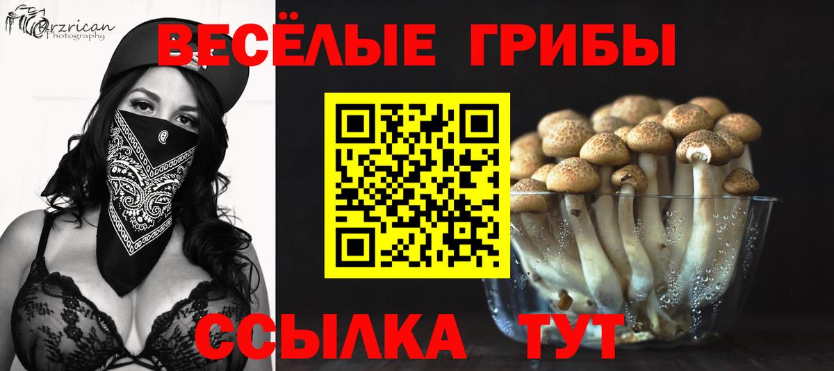 Галлюциногенные грибы мухоморы Богородицк