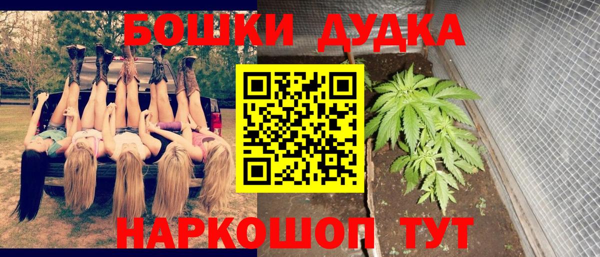 Шишки марихуана Ganja  Шишки марихуана сатива  Марихуана планчик  Вход с VPN  Богородицк 